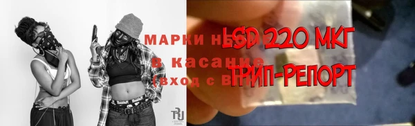 PSILOCYBIN Алексин