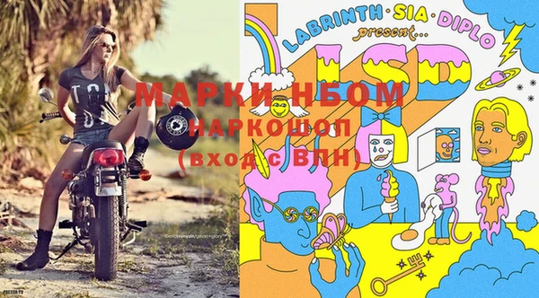 PSILOCYBIN Алексин