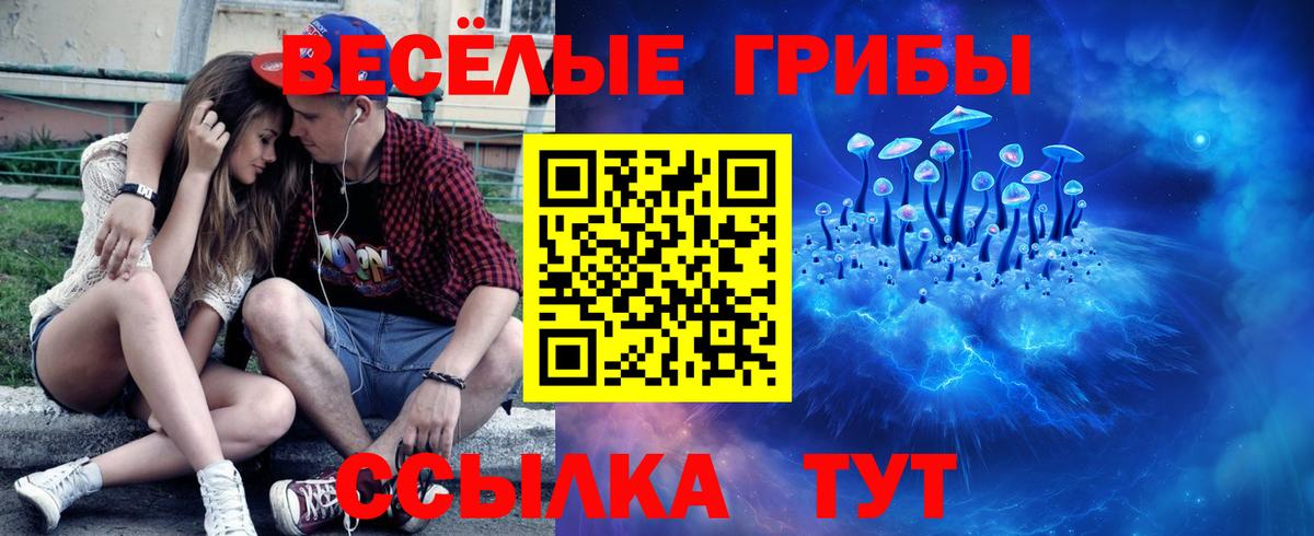 магазин продажи наркотиков  Галлюциногенные грибы Psilocybine cubensis  Вход с VPN  Галлюциногенные грибы Cubensis  Анжеро-Судженск 